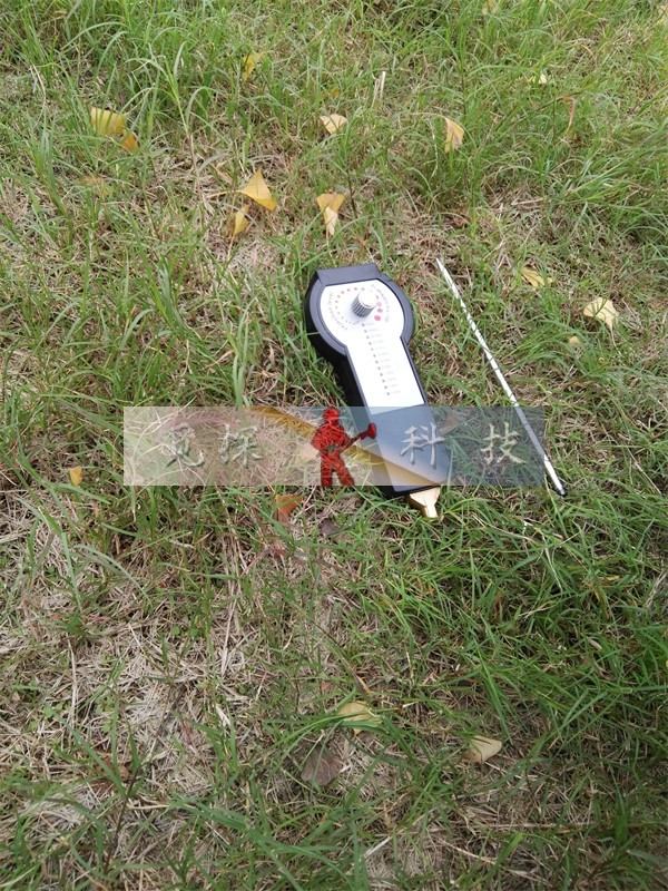 天狼星遙感金屬探測(cè)器抗干擾排礦化與假信號(hào)地下金屬探測(cè)器消磁器